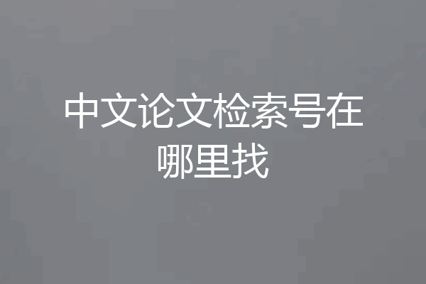中文论文检索号在哪里找