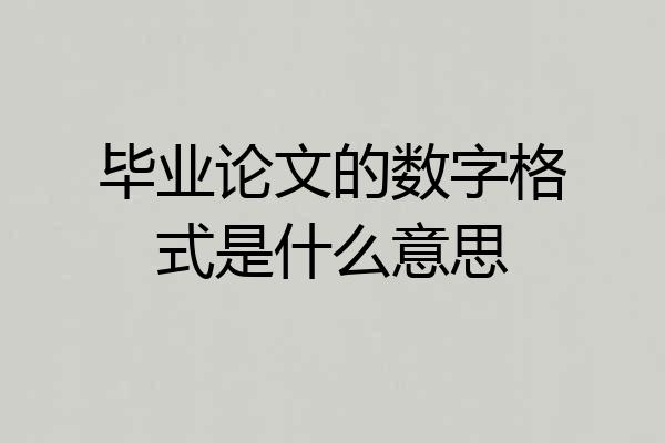 毕业论文的数字格式是什么意思