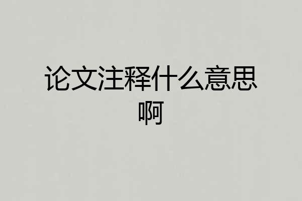 论文注释什么意思啊