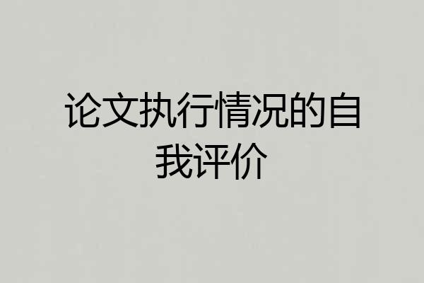 论文执行情况的自我评价