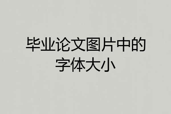 毕业论文图片中的字体大小