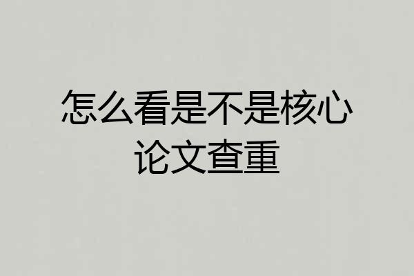 怎么看是不是核心论文查重
