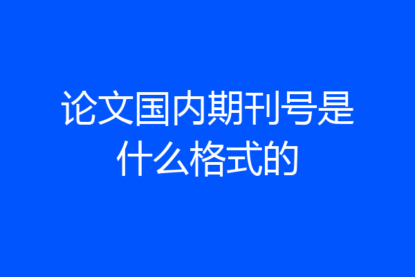论文国内期刊号是什么格式的