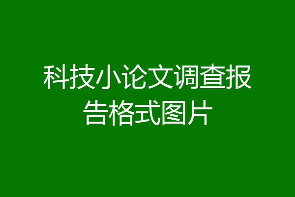 科技小论文调查报告格式图片
