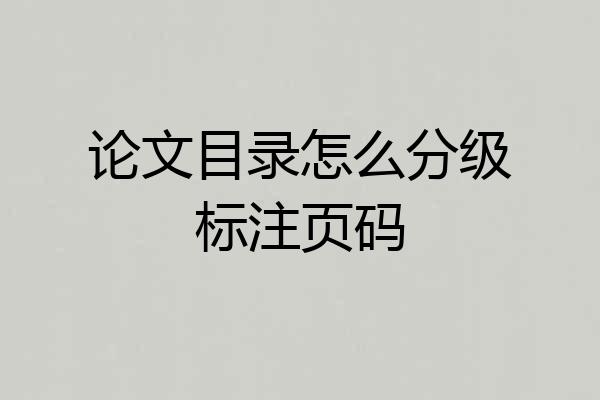 论文目录怎么分级标注页码