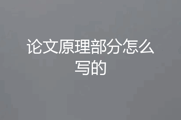 论文原理部分怎么写的