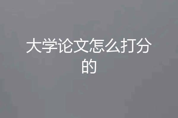 大学论文怎么打分的