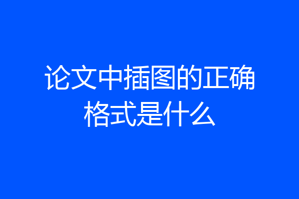 论文中插图的正确格式是什么