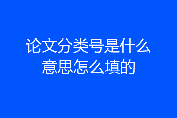 论文分类号是什么意思怎么填的