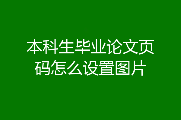 本科生毕业论文页码怎么设置图片