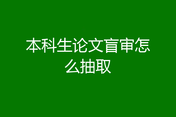 本科生论文盲审怎么抽取