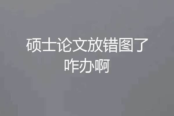 硕士论文放错图了咋办啊