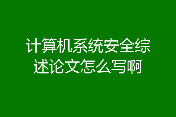 计算机系统安全综述论文怎么写啊