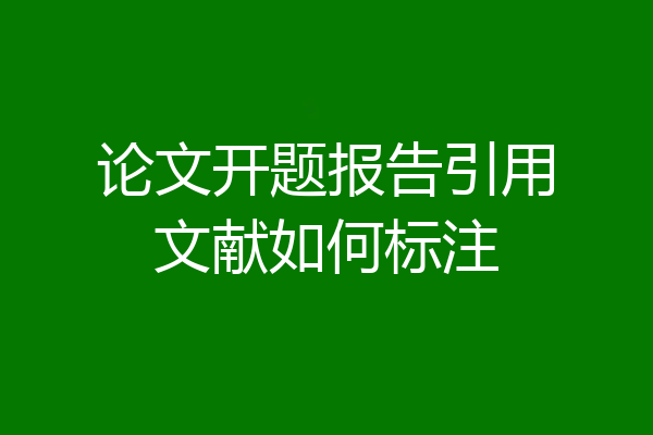 论文开题报告引用文献如何标注
