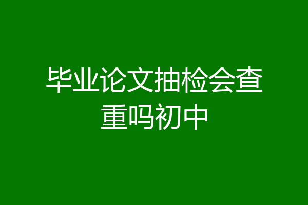 毕业论文抽检会查重吗初中