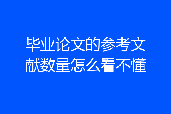 毕业论文的参考文献数量怎么看不懂