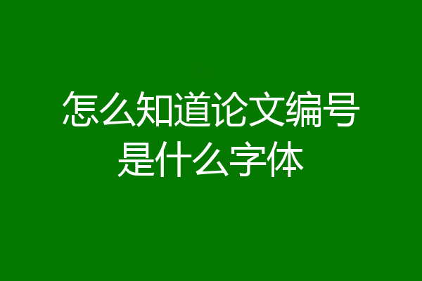 怎么知道论文编号是什么字体