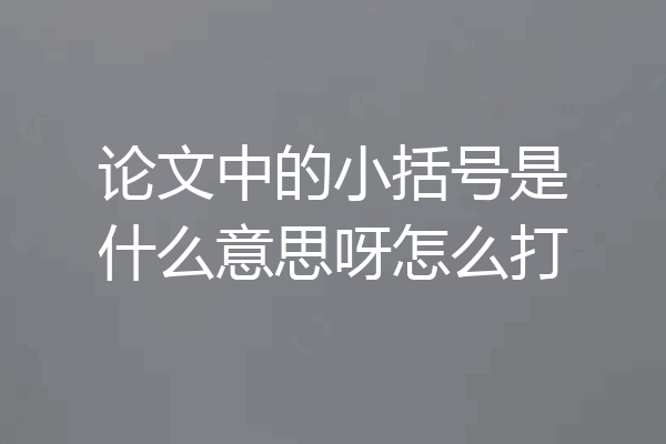 论文中的小括号是什么意思呀怎么打