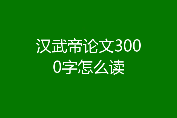 汉武帝论文3000字怎么读