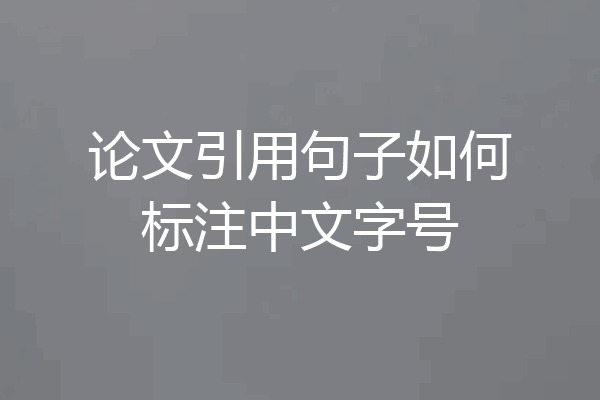 论文引用句子如何标注中文字号