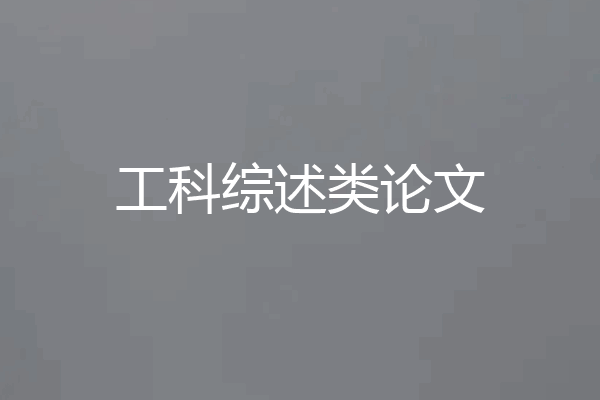 工科综述类论文