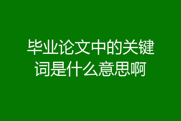 毕业论文中的关键词是什么意思啊