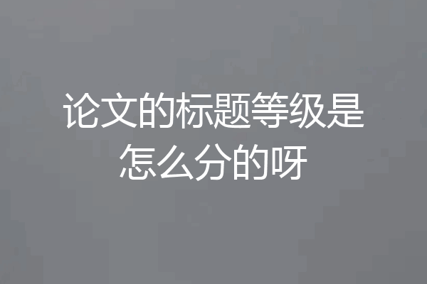 论文的标题等级是怎么分的呀