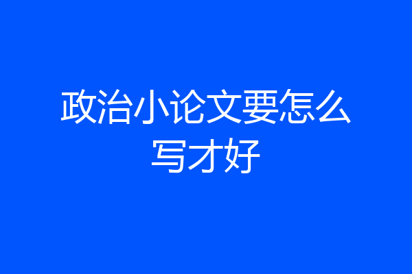 政治小论文要怎么写才好