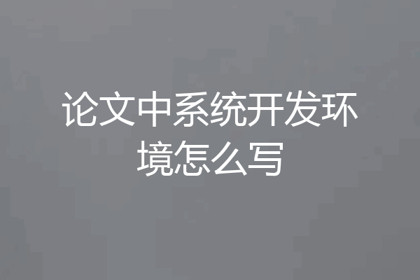 论文中系统开发环境怎么写