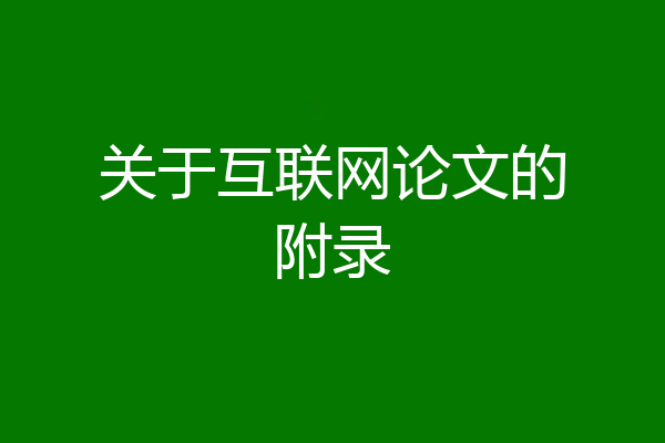关于互联网论文的附录