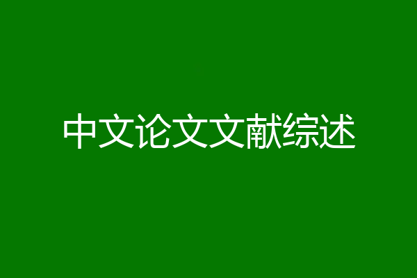 中文论文文献综述