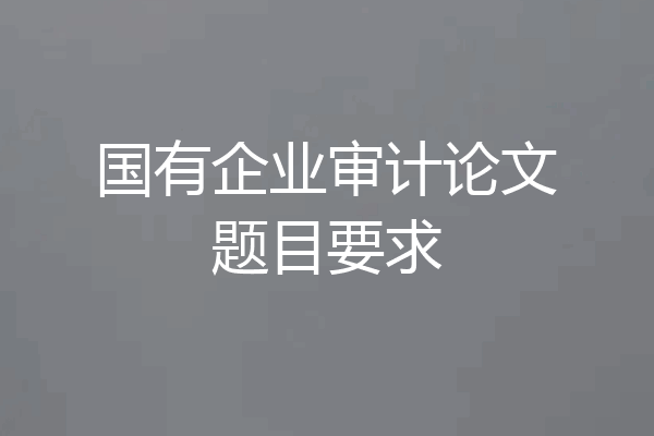 国有企业审计论文题目要求