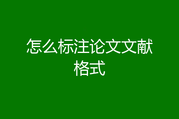 怎么标注论文文献格式