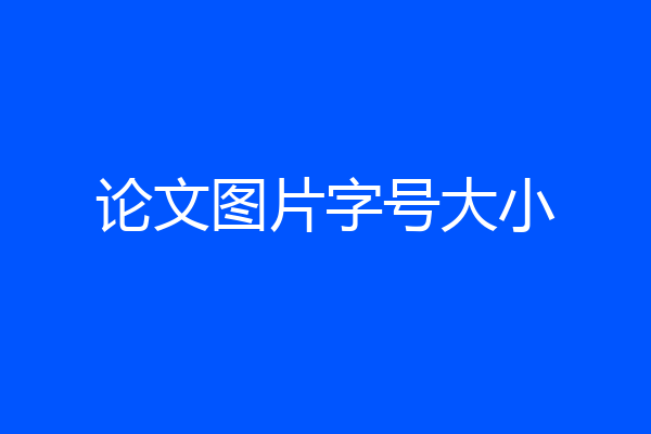 论文图片字号大小
