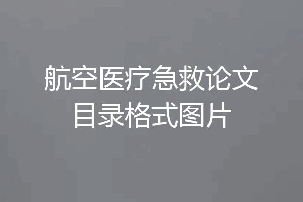 航空医疗急救论文目录格式图片