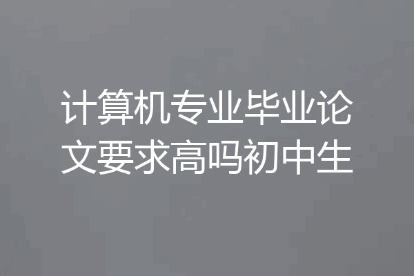 计算机专业毕业论文要求高吗初中生