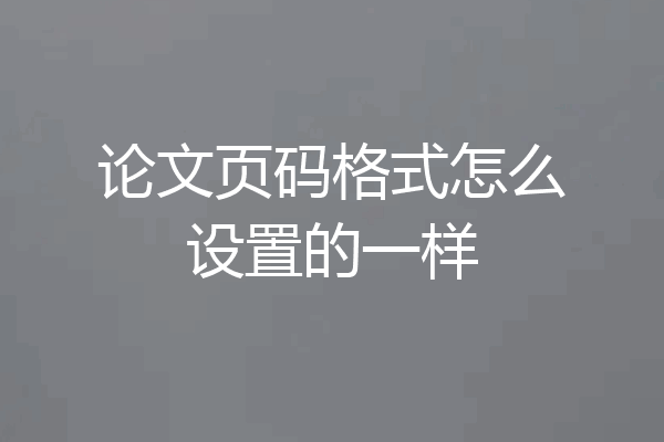 论文页码格式怎么设置的一样
