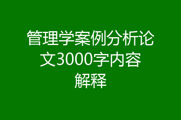 管理学案例分析论文3000字内容解释