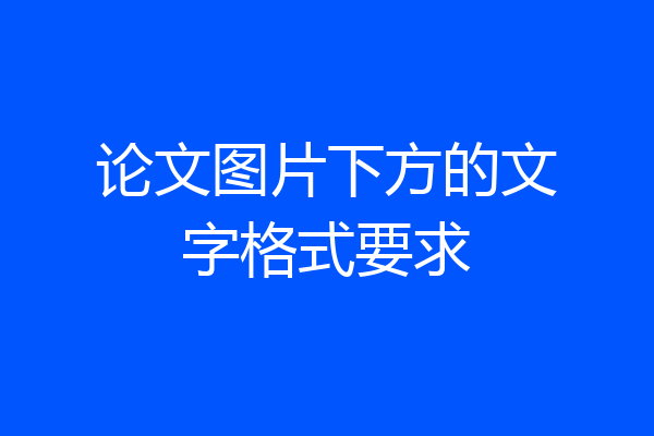论文图片下方的文字格式要求