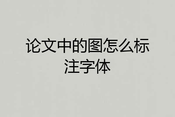 论文中的图怎么标注字体