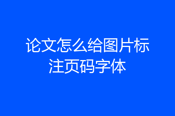 论文怎么给图片标注页码字体