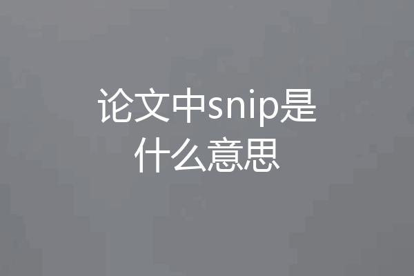 论文中snip是什么意思