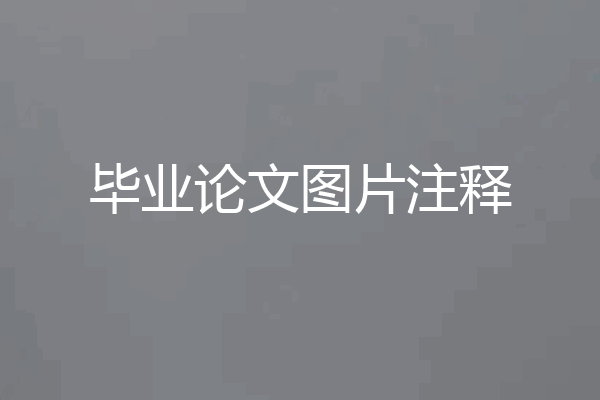 毕业论文图片注释