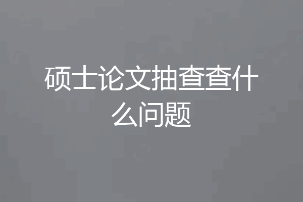 硕士论文抽查查什么问题