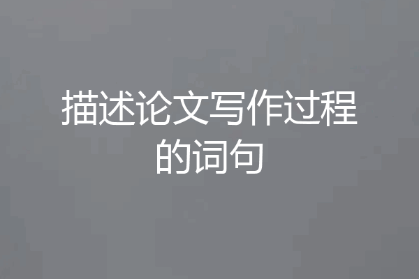 描述论文写作过程的词句