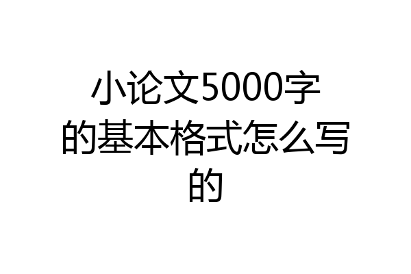 小论文5000字的基本格式怎么写的