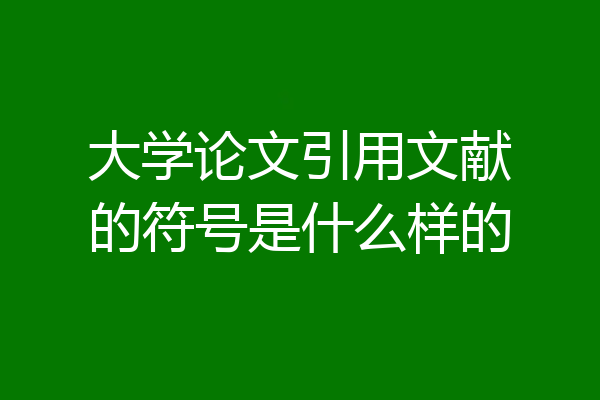 大学论文引用文献的符号是什么样的