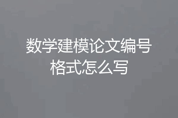 数学建模论文编号格式怎么写