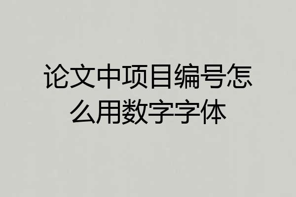 论文中项目编号怎么用数字字体