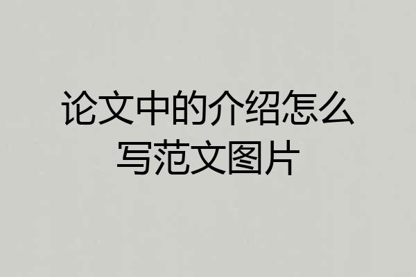论文中的介绍怎么写范文图片